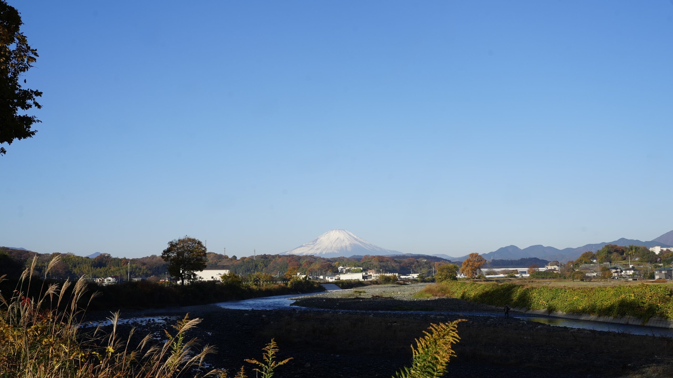 モノローグ 2025.12