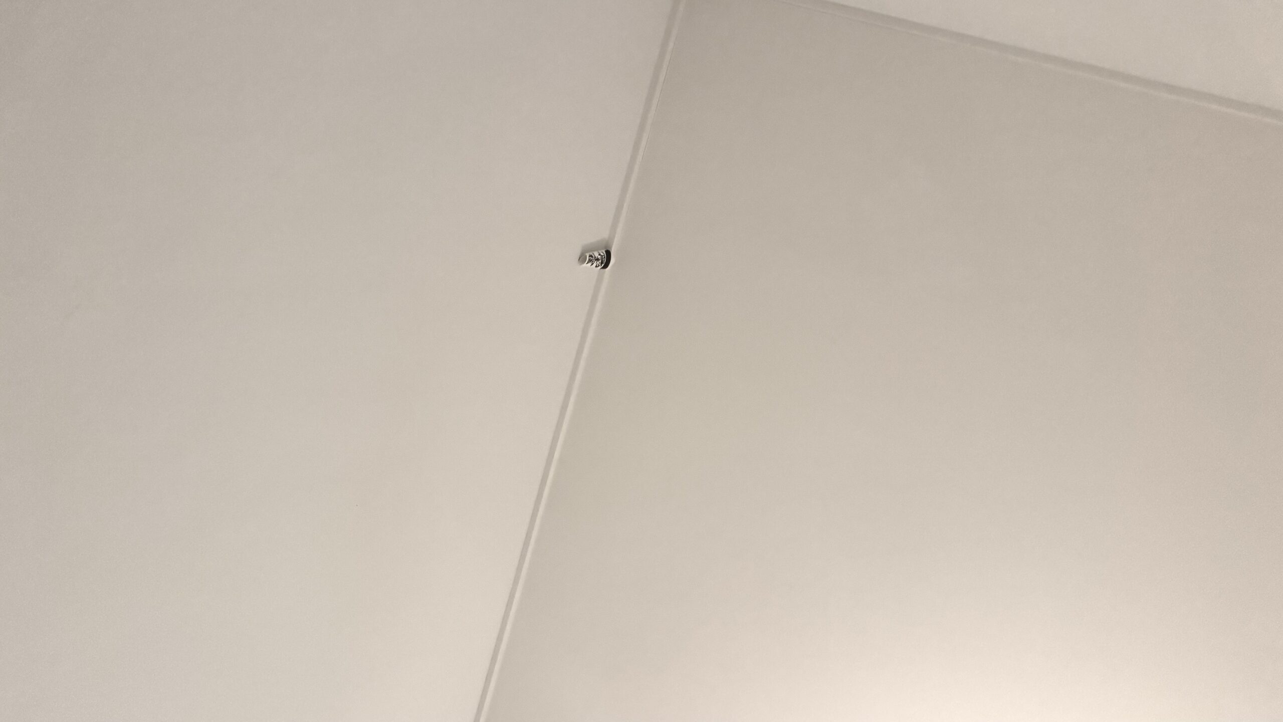 日記 2026年1月日記